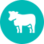 Cow icon