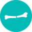 Broken bone icon